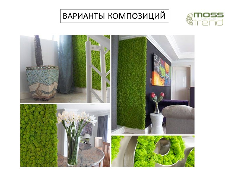 ВАРИАНТЫ КОМПОЗИЦИЙ